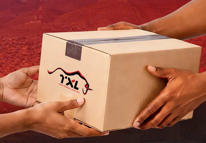 Toro Express Logistics